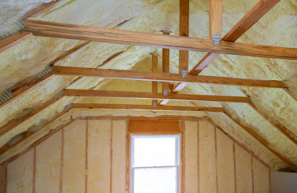 Best Attic Insulation Installation  in Loveland Park, OH